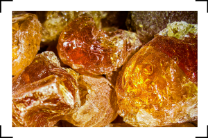 About the shop 5 gummi arabicum quality gum sudan
